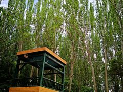 -艾提尕尔清真寺