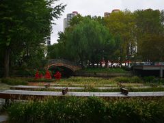 -和平公园