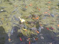 -水磨沟公园