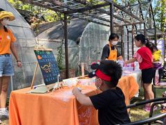 -前小桔亲子创意农场·草莓采摘·露营烧烤