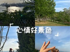 -小麦岛公园