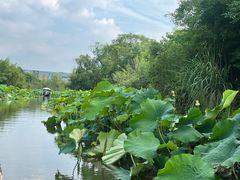 -西溪国家湿地公园