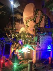 -恐龙探索乐园(磁器口店)