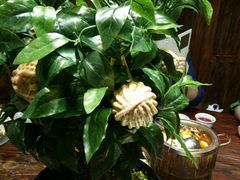 -云来居素食馆(南山店)