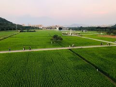 -风云岭森林公园