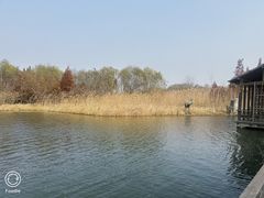 -溱湖国家湿地公园