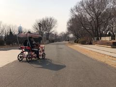 -永定河休闲森林公园