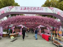 -南汇桃花村