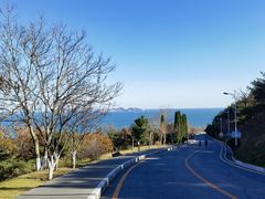 -棒棰岛宾馆景区