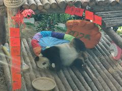 -大连森林动物园