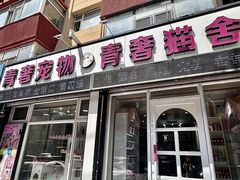 -青奢宠物·青奢猫舍