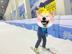 -绍兴启迪乔波冰雪世界