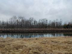 -溱湖国家湿地公园