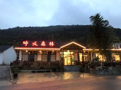 -呼吸森林·生态农庄农家乐私房菜