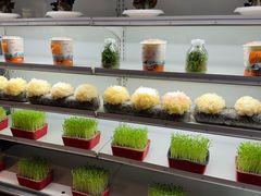 -番食园鲜食火锅(高新店)