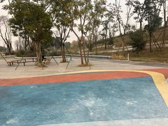 -白鹭湾湿地公园
