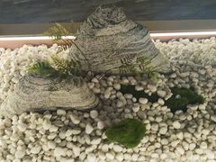 -快乐大桶水养生足浴SPA(前兴路店)