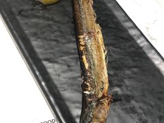 秋刀鱼-T11生鲜超市(朝阳公园店)