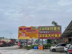 -正宗高流河饭店原创风姜鸡