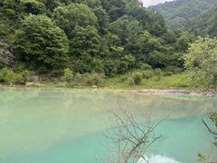 -狮子沟牧场
