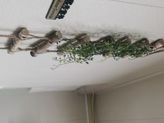 -艺味深尝(云锦路店)