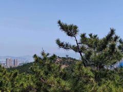 -北岭山森林公园