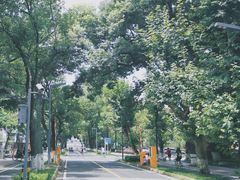 -四川大学(望江校区)