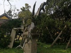 -司徒庙