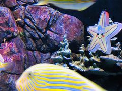 -成都浩海立方海洋公园