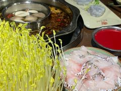 -巴倒烫陆派火锅山庄(南山总店)