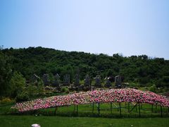 -金龙寺国家森林公园
