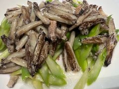 -新光酒家·河豚·海鲜·蟹料理(浦东店)