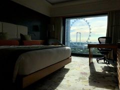 -新加坡文华东方酒店