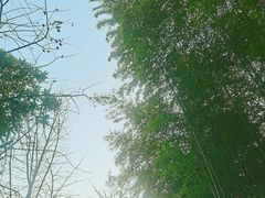 -九龙潭景区