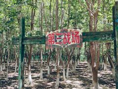 -亲兄弟真人CS团建拓展基地