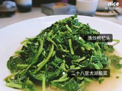 枸杞头-二十八里太湖船菜(吉祥路店)