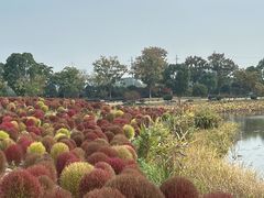 -径山花海