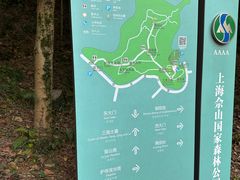 -上海佘山国家森林公园天马山园