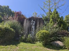 -白鹭湾湿地公园