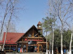 -合肥滨湖国家森林公园