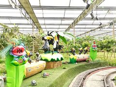 -南宫五洲植物乐园