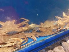 -綱元·海鲜豆捞(明州里店)