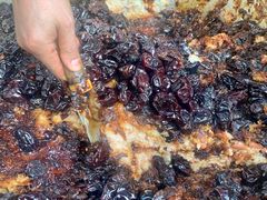 -马文章胖子甑糕(洒金桥店)