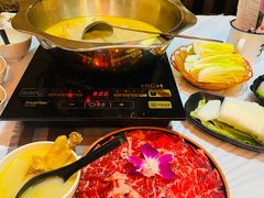 -鲜入围煮花胶鸡海鲜火锅