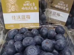 -双福水果批发市场