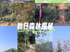 -青龙山国家森林公园