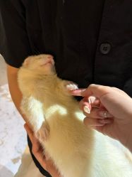 -Zoolung Zoolung动物主题公园(海信广场店)