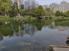 -圩墩遗址公园
