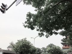-王胖子驴肉火烧(鼓楼店)