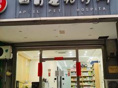 -四月宠物医院·猫专科·心脏专科·内科(转塘店)